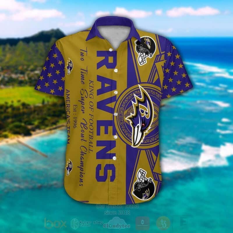Awesome NFL Baltimore Ravens Hawaiian Shirt Team Symbol Gift For Cool Dad Awesome NFL Baltimore Ravens Hawaiian Shirt Team Symbol Gift For Cool Dad