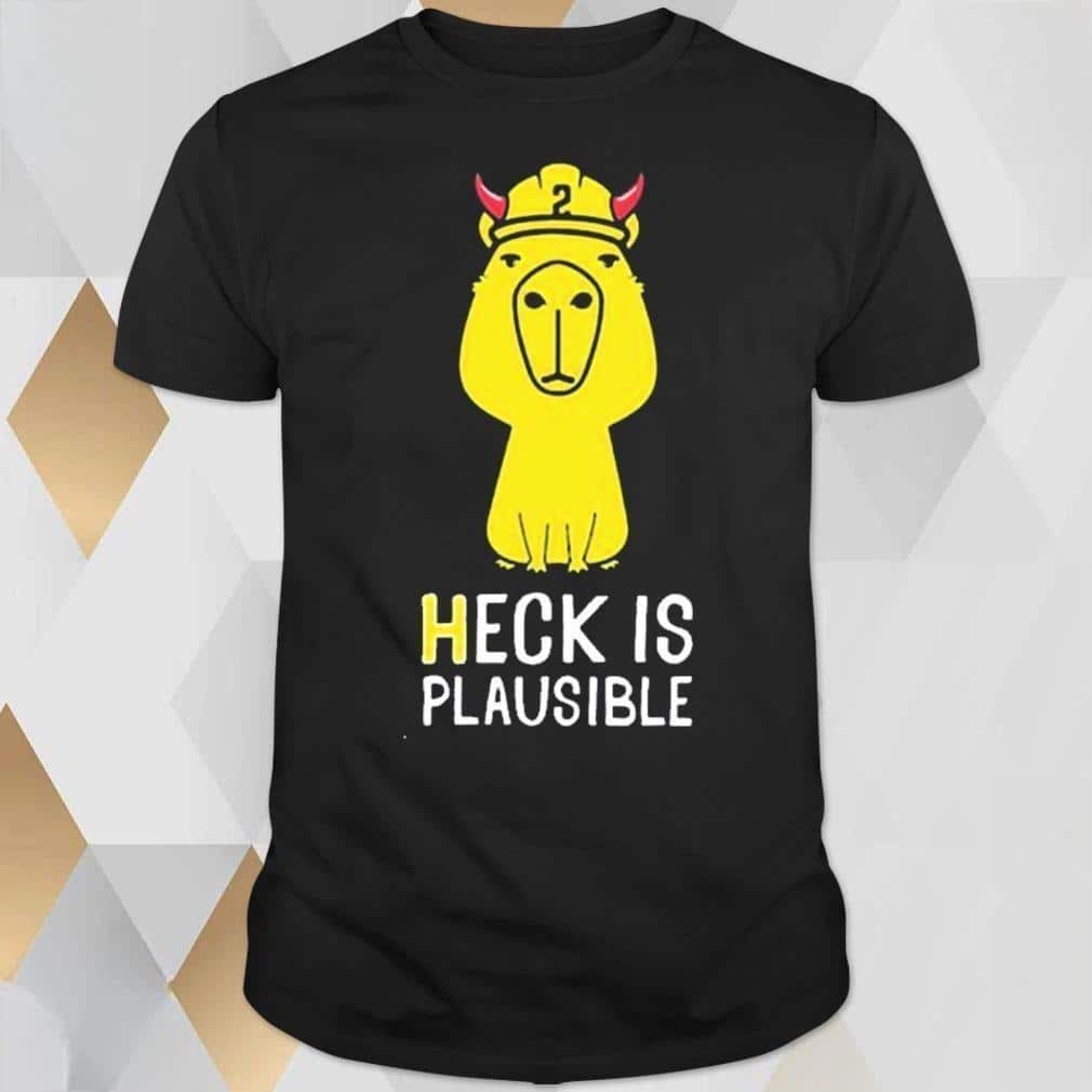 Funny Heck Is Plausible T-Shirt Funny Heck Is Plausible T-Shirt