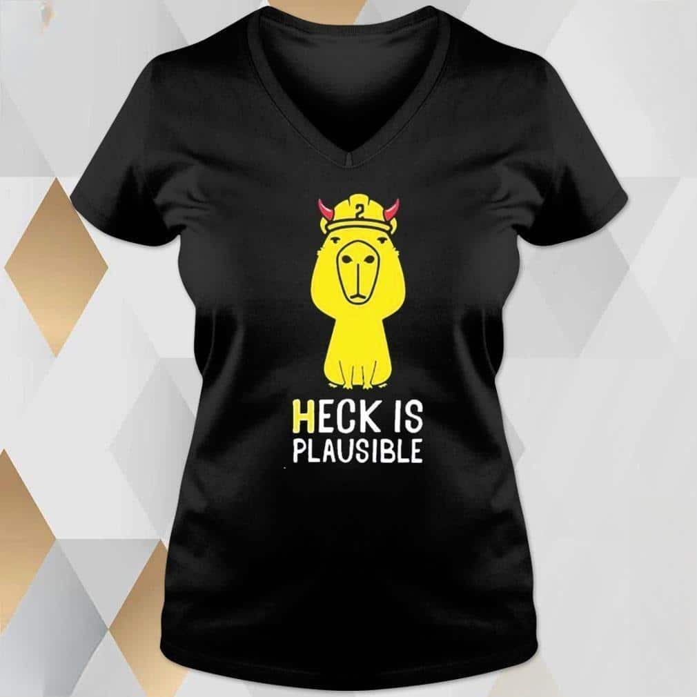 Funny Heck Is Plausible T-Shirt Funny Heck Is Plausible T-Shirt