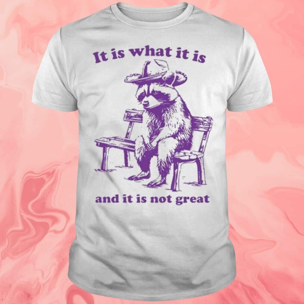 It Is What It Is And It Is Not Great Racoon T-Shirt