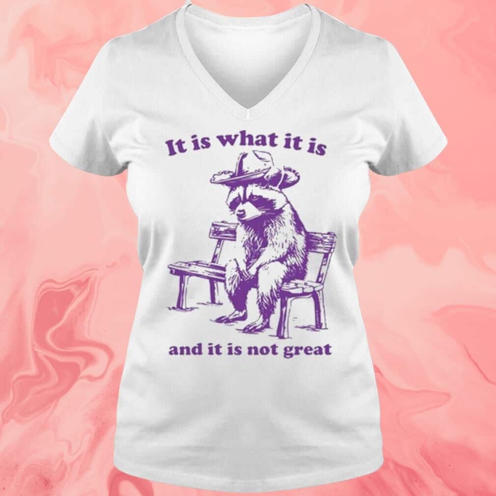 It Is What It Is And It Is Not Great Racoon T-Shirt It Is What It Is And It Is Not Great Racoon T-Shirt