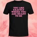 You Are Exactly Where You Are Meant To Be T-Shirt