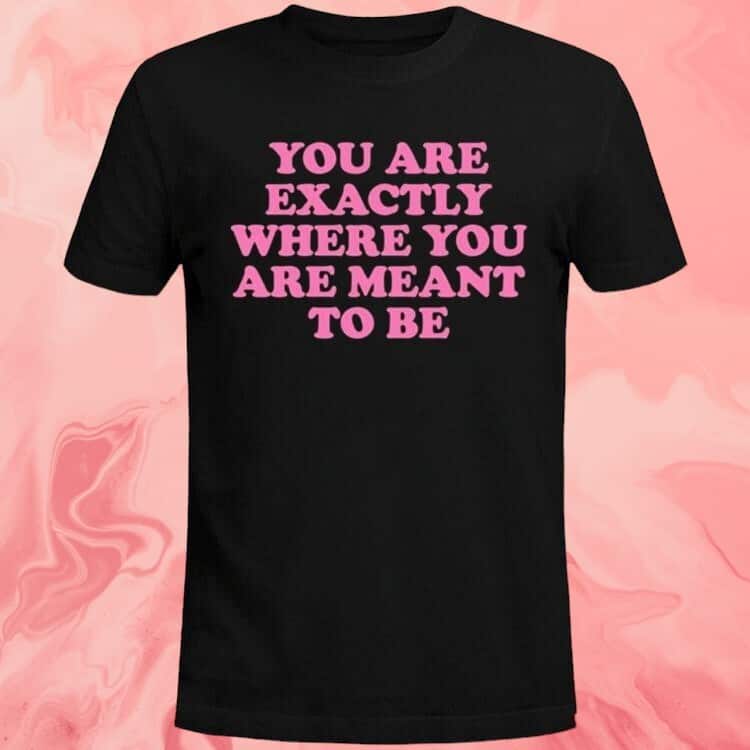 You Are Exactly Where You Are Meant To Be T-Shirt You Are Exactly Where You Are Meant To Be T-Shirt